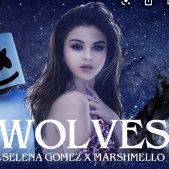 Wolves (mashup) - The megamix.mp3