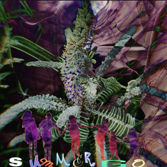 Summer Go (2022 summa)