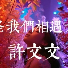 许文文 - 都怪我们相遇太晚没有我继续陪在你身边你是否也会有点不习惯AI高质音乐拼音动态歌词 Lyrics#coolsong酷歌.mp3
