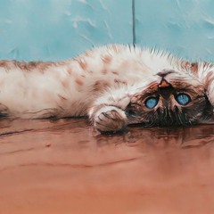 Sameseven - Everybody Hates Jake