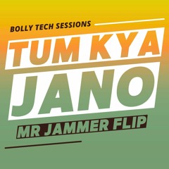 Tum Kya Jano - Mr Jammer Flip [Bolly Tech] (Download Available)