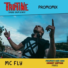 Mc Fly Dj - "Tartine" Promo Mix