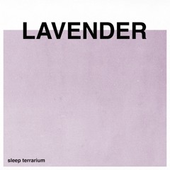 Sleep Terrarium - Lavender (OCEAN)