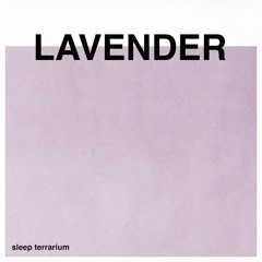 Sleep Terrarium - Lavender (OCEAN)