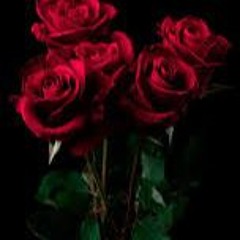 𝘼 𝙇𝙞𝙩𝙩𝙡𝙚 𝘿𝙚𝙖𝙩𝙝 - 𝙏𝙝𝙚 𝙉𝙚𝙞𝙜𝙝𝙗𝙤𝙧𝙝𝙤𝙤𝙙  (𝙚𝙙𝙞𝙩 𝙖𝙪𝙙𝙞𝙤)