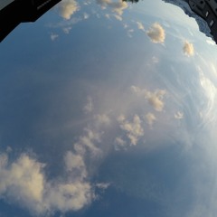JungleFever 2023 - 01 - 09
