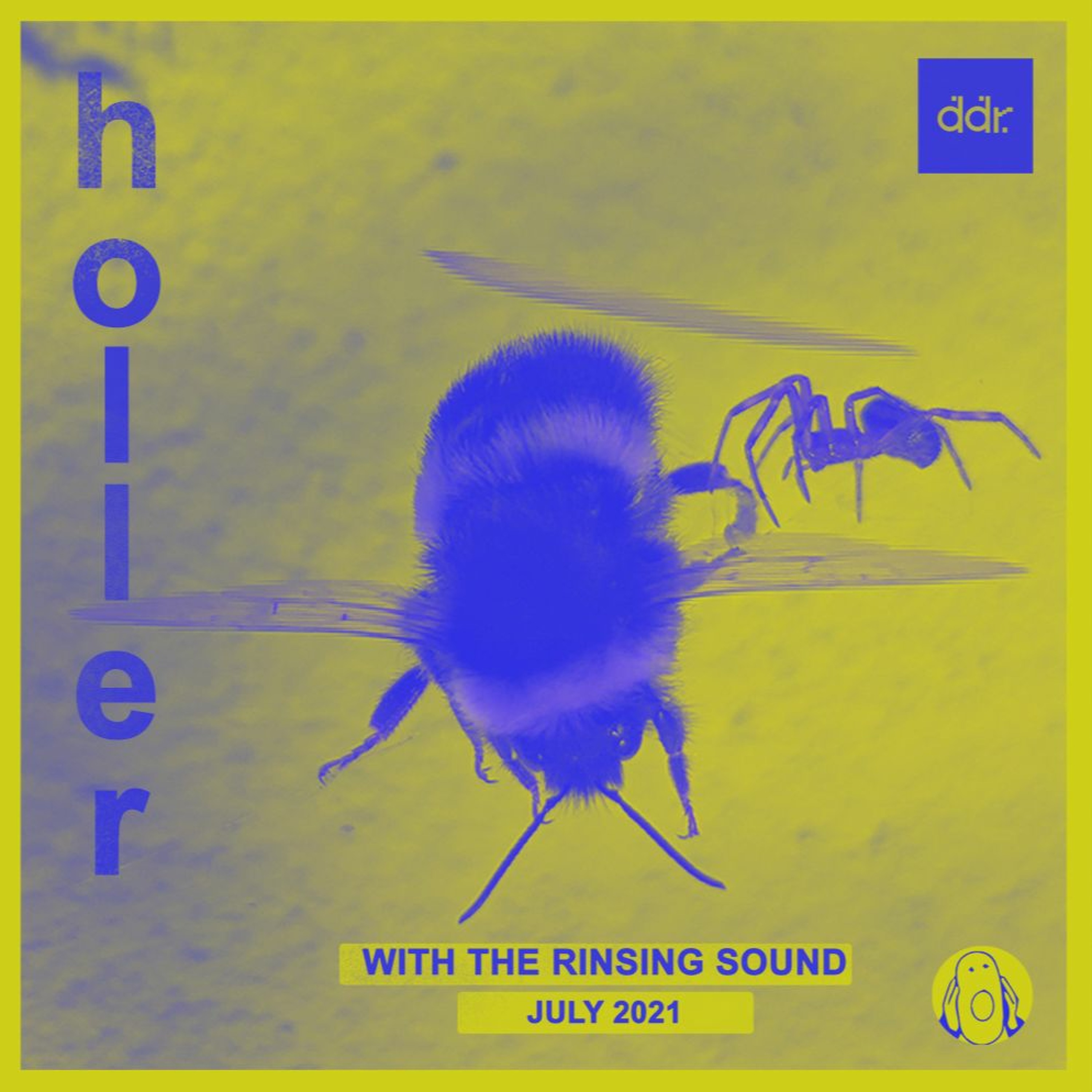 Holler Radio On DDR