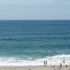 Del Mar Hoops