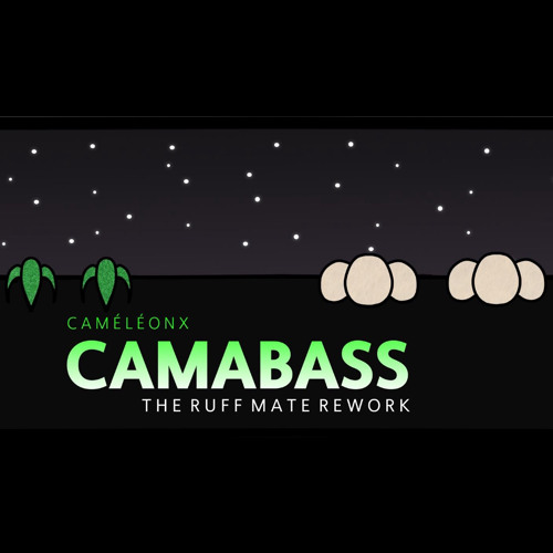 Caméléonx - Camabass (The Ruff Mate Rework)