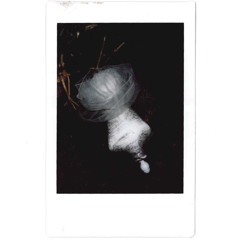 absurdist, belated - demo