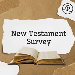 NT Survey: Galatians