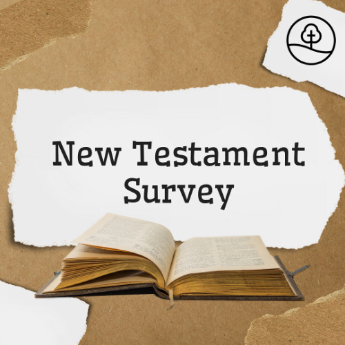 NT Survey: 1st Peter