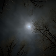 LoveHatebutIHateLove