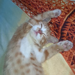 Klebus - GuyonWaton (speed up tiktok version) (192 KBps).mp3