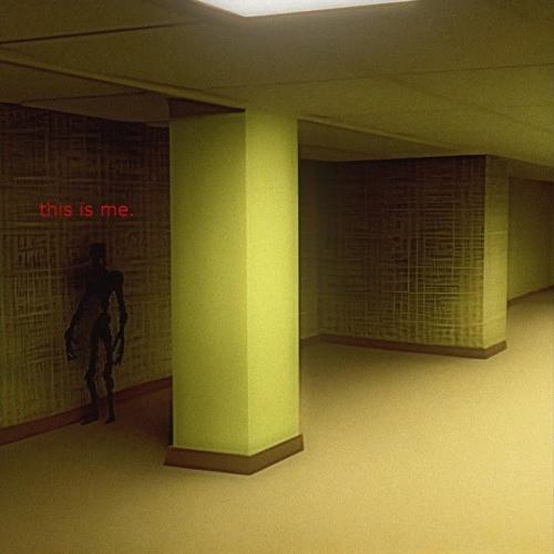 Frontrooms - The Void