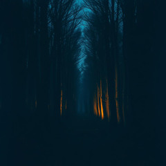 The other side of fate Vol 2