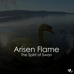 The Spirit Of The Swan has Solitude #2623
