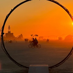 Syncytium Sunrise - Burning Man 2023