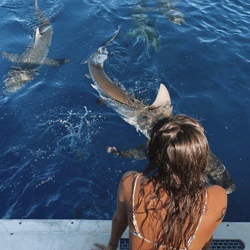 بحر الكرم - عبدالمجيد عبدالله X شعر