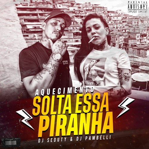 Aquecimento Solta Essa Piranha  Dj Pambelli  Dj Seduty