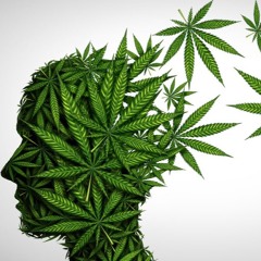 Powder Monkey & Richard Harrington - I Get High (Free Download)