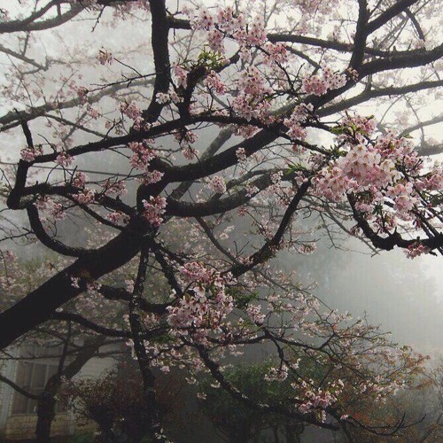 09 요단강 - nastyona