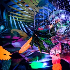 Slow Psytrance Stunde Sascha Haseloff 24.02.23