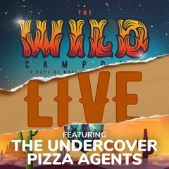 Undercover Pizza Agents // Wild Campout Festival // New Years Day Dam Party