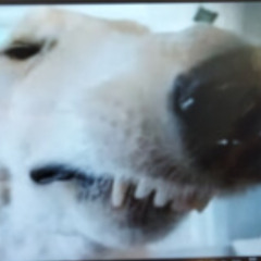 [free for non profit] dark/emo digicore beat