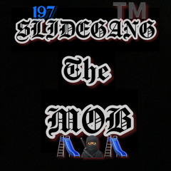 SLIDEGANG THE M.O.B 🛝™️🥷🏽