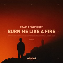 Bullet x YellowLight - Burn Me Like A Fire