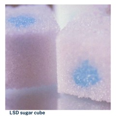 sexy acid