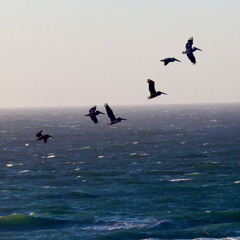 Lock In Live w/ Lishy [002]