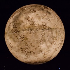 Homemix February 2024