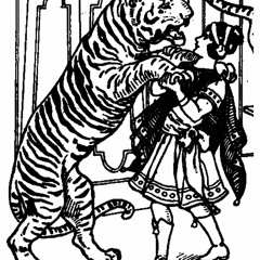 Dancing In Tiger Country