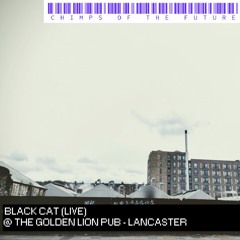 BLACK CAT (LIVE) at The Golden Lion in #LANCASTER