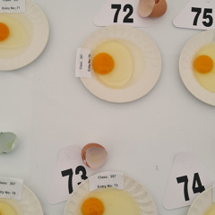 Fractal Meat On A Spongy Bone 251125