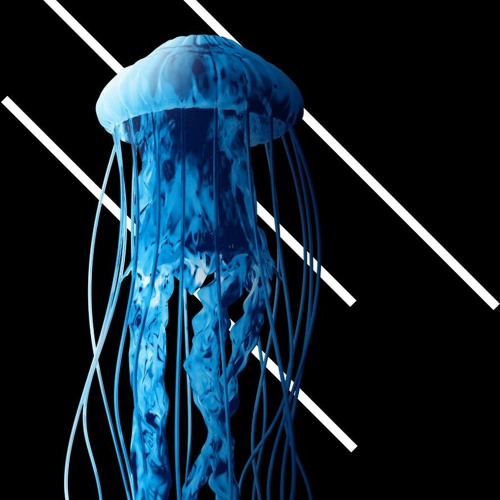 WHITESPAWNZ  MTF - blister in the sun .m4a