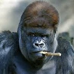 King Cowbell
