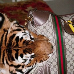 Go Get The Bag