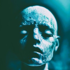 𝔗𝔥𝔢 𝔉𝔩𝔢𝔰𝔥 𝔦𝔰 𝔞 𝔓𝔯𝔦𝔰𝔬𝔫