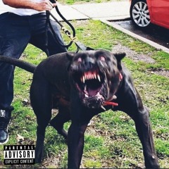 Deshawn Rozaye - Boyz N Da Hood  ft Citta ThaFatMac (ProdbyVM)