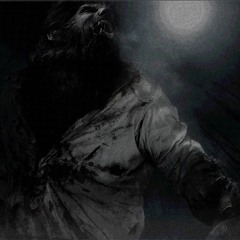 In The Quieting Moonlight