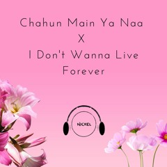 Chahun Main Ya Naa X I Don't Wanna Live Forever