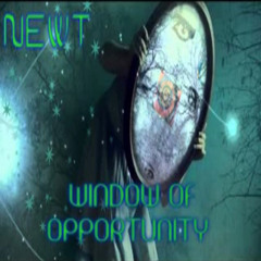 Newt - Window of Opportunity