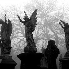 Playboi Carti - Immortal (ultra slowed)