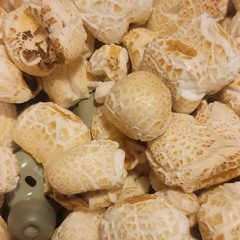 JAN! w/the dish,지호