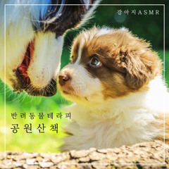 빗속의낮잠 A Nap In The Rainy Day