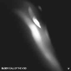 Sloey - Call Of The Void - EP - DSKF027 - 01 Debris