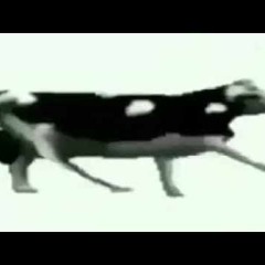 Польская корова vocoded